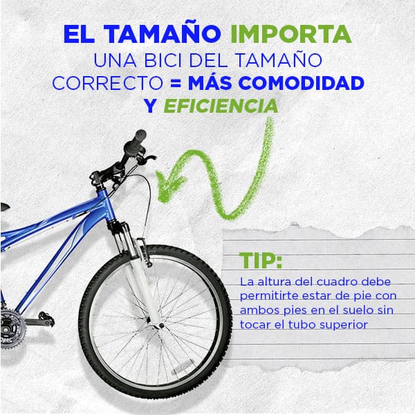 Post 4 imagen 3