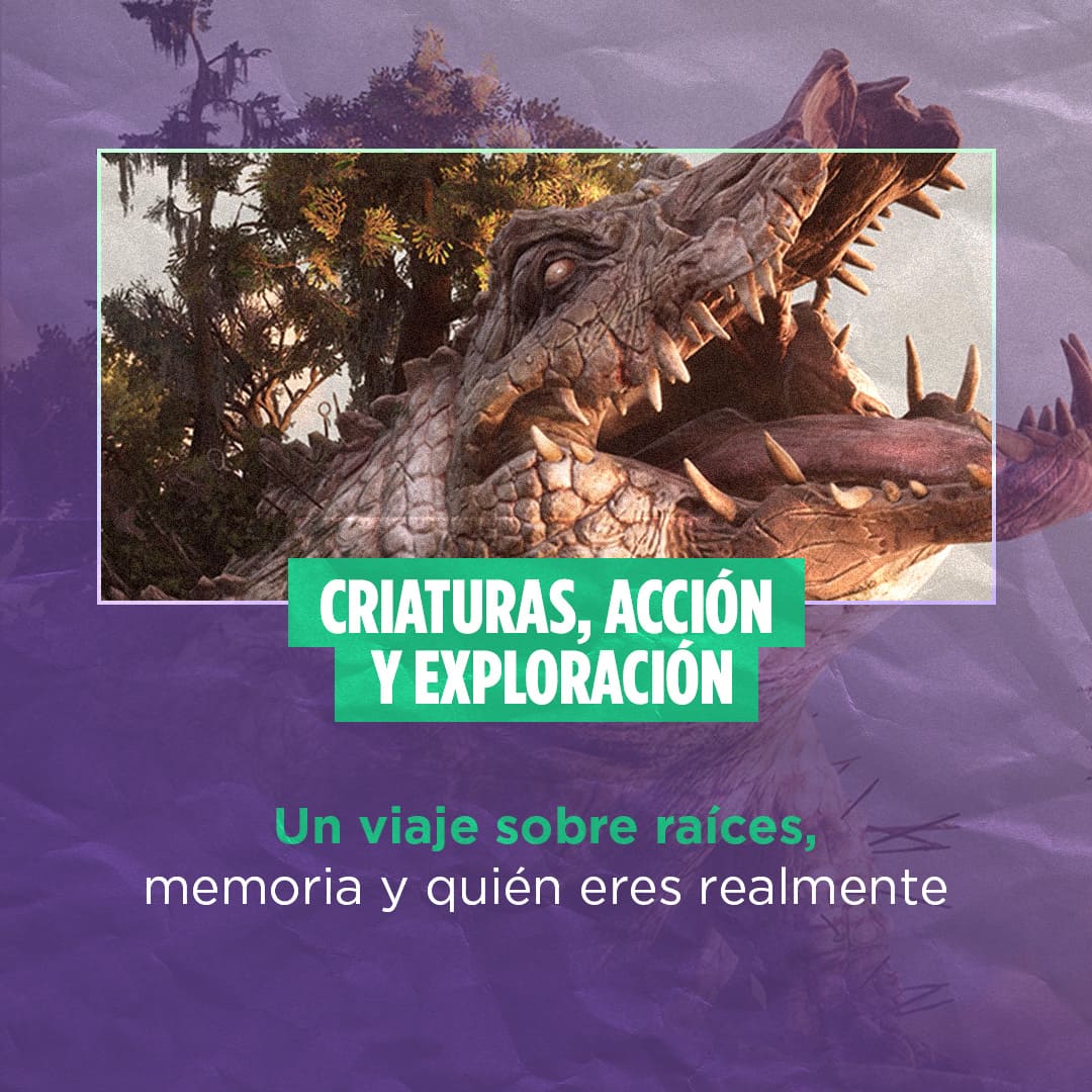 Post 3 imagen 4