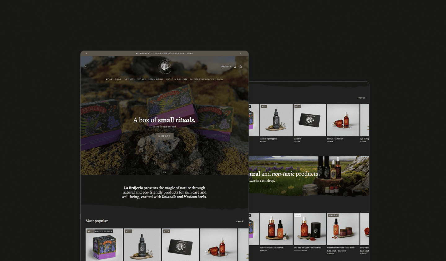 Preview secundario del proyecto